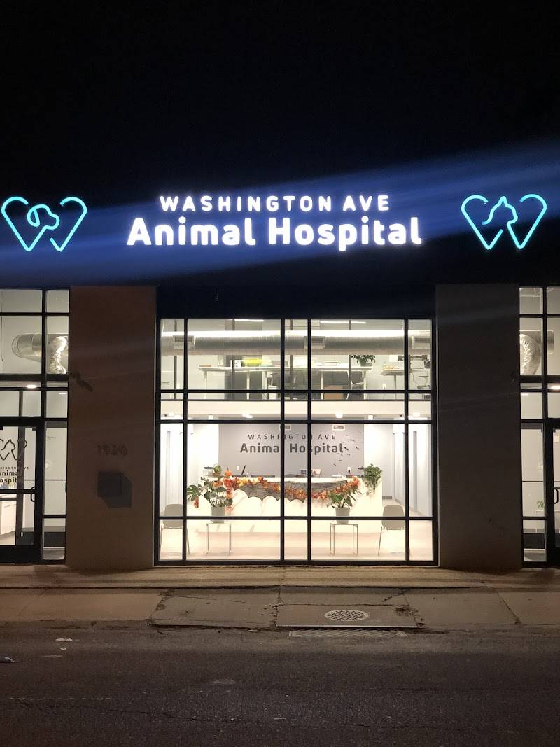 Washington Ave Animal Hospital