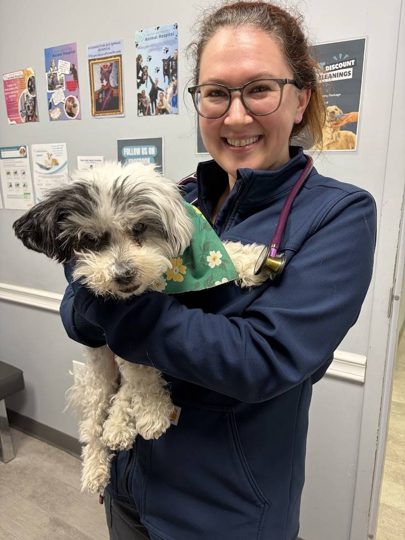 Washington Ave Animal Hospital