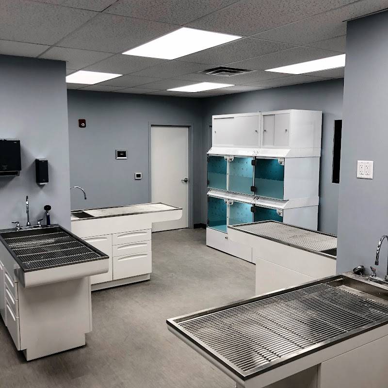 Washington Ave Animal Hospital
