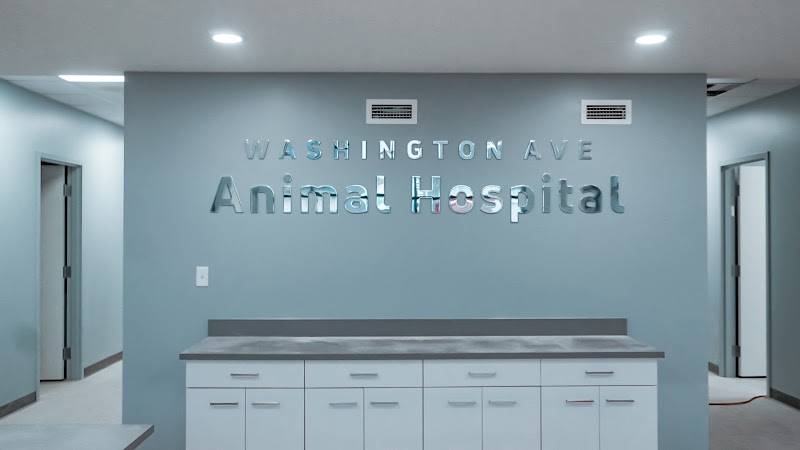 Washington Ave Animal Hospital